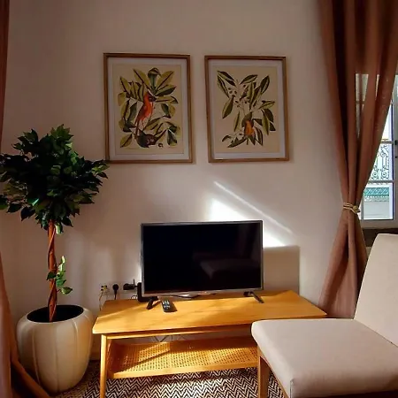 Loft Surdo * Funchal (Madeira)